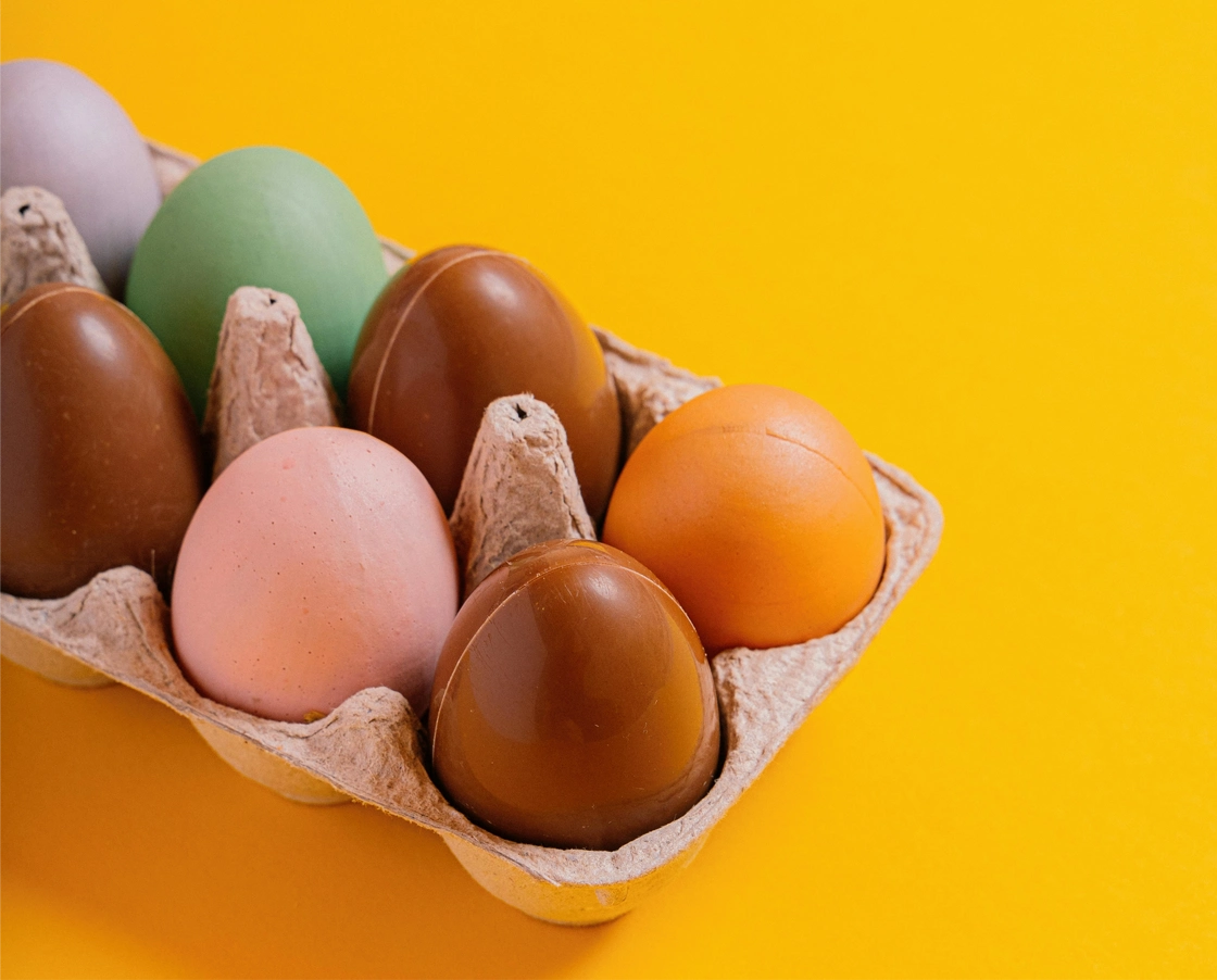 pulp-molding-yumurta